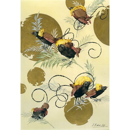 Illustration for Caprices Décoratifs: Oiseaux de paradis [Birds of Paradise]